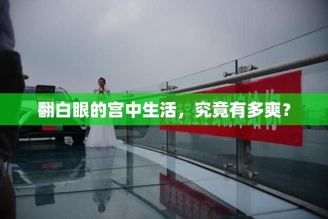 翻白眼的宫中生活，究竟有多爽？
