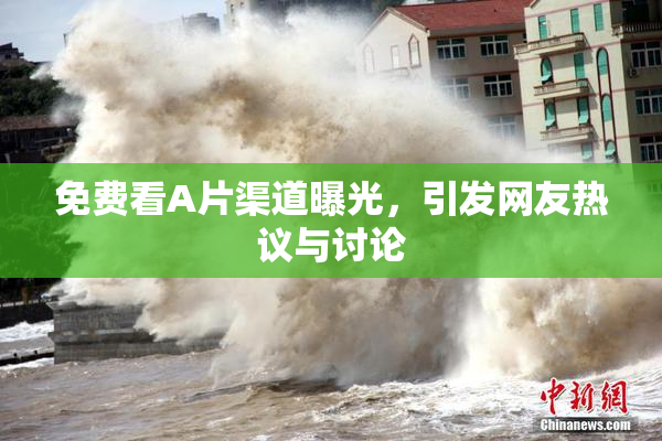 免费看A片渠道曝光，引发网友热议与讨论