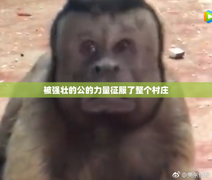 被强壮的公的力量征服了整个村庄