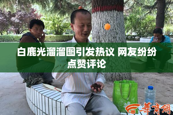 白鹿光溜溜图引发热议 网友纷纷点赞评论