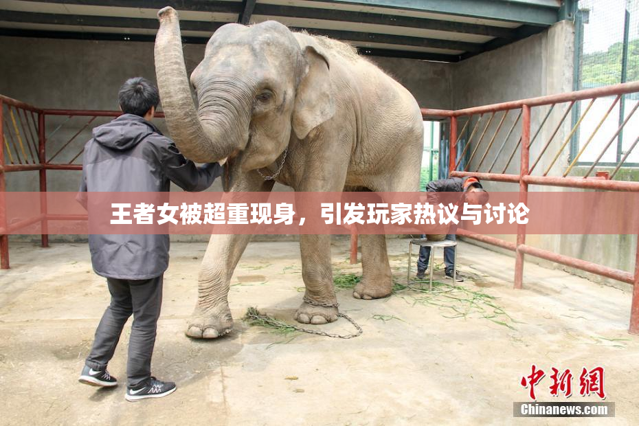 王者女被超重现身，引发玩家热议与讨论