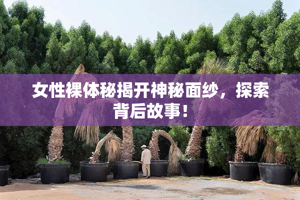 女性裸体秘揭开神秘面纱，探索背后故事！