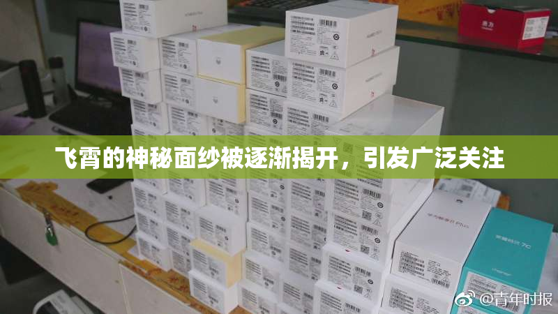 飞霄的神秘面纱被逐渐揭开，引发广泛关注