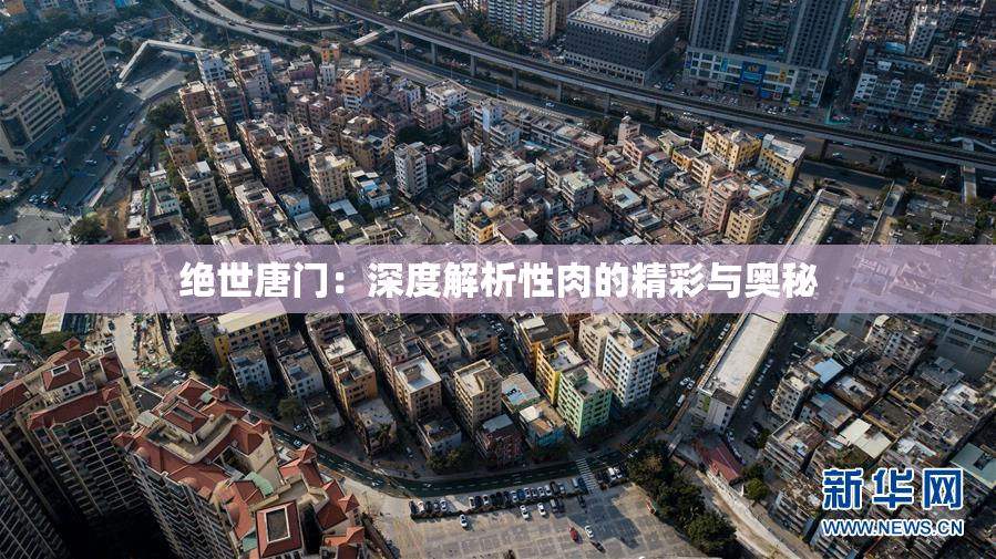 绝世唐门：深度解析性肉的精彩与奥秘