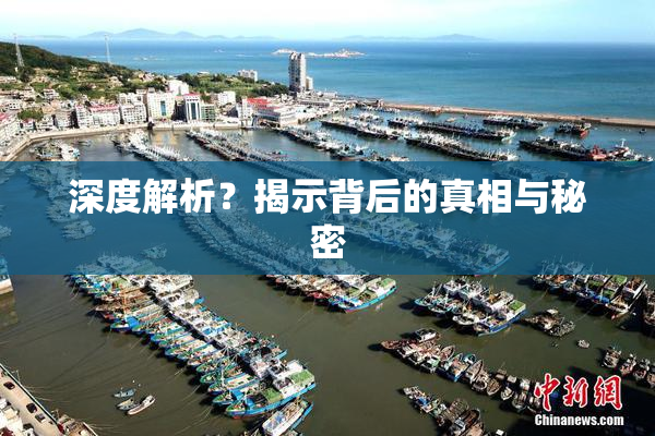 深度解析？揭示背后的真相与秘密