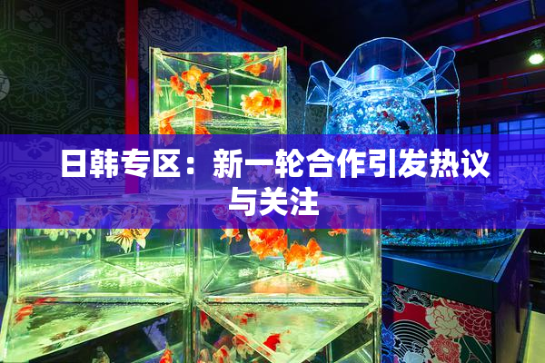 日韩专区：新一轮合作引发热议与关注