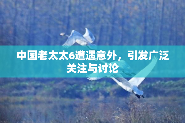 中国老太太6遭遇意外，引发广泛关注与讨论
