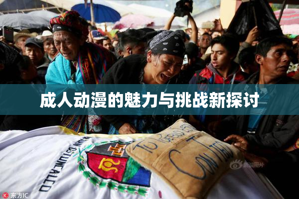 成人动漫的魅力与挑战新探讨