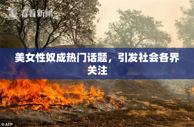 美女性奴成热门话题，引发社会各界关注