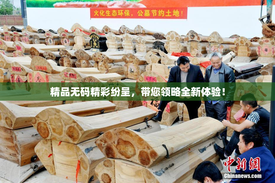 精品无码精彩纷呈，带您领略全新体验！