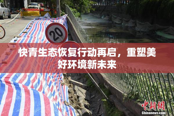快青生态恢复行动再启，重塑美好环境新未来