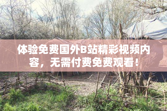 体验免费国外B站精彩视频内容，无需付费免费观看！