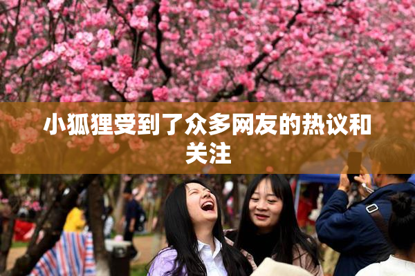 小狐狸受到了众多网友的热议和关注