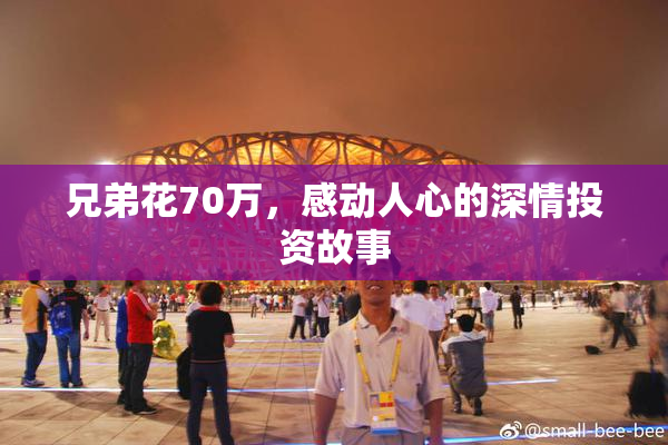 兄弟花70万，感动人心的深情投资故事