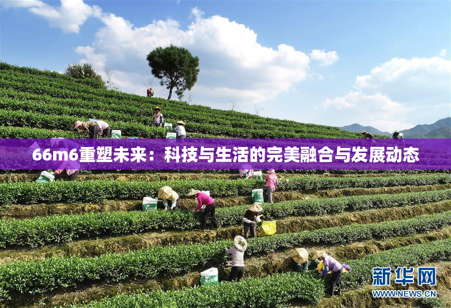 66m6重塑未来：科技与生活的完美融合与发展动态