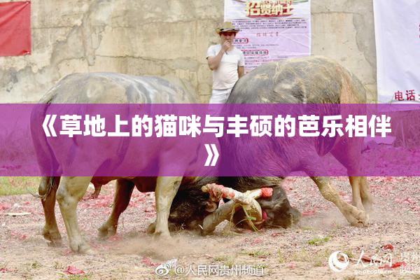 《草地上的猫咪与丰硕的芭乐相伴》