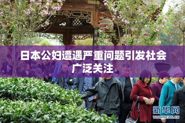 日本公妇遭遇严重问题引发社会广泛关注