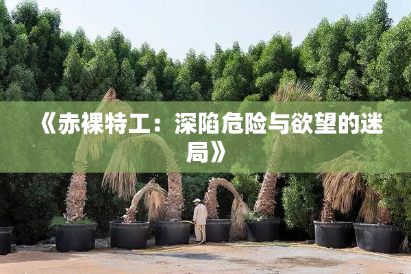 《赤裸特工：深陷危险与欲望的迷局》
