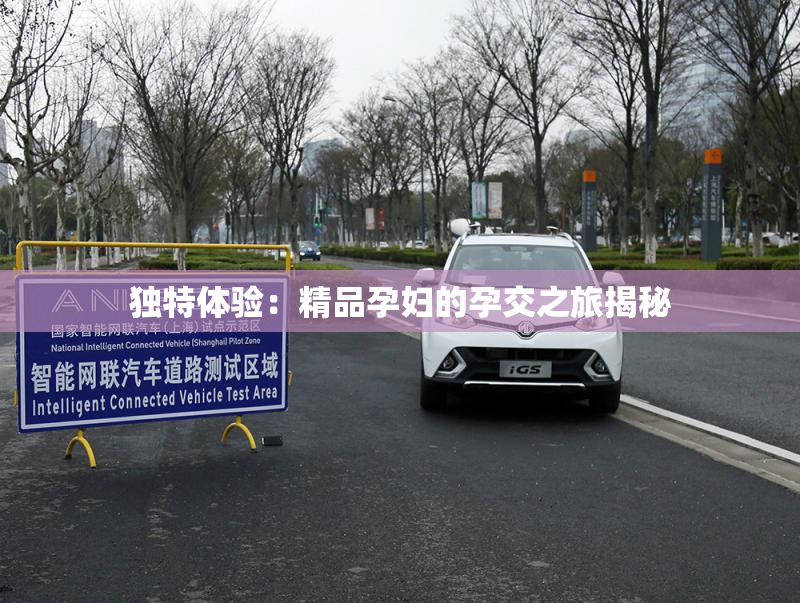 独特体验：精品孕妇的孕交之旅揭秘