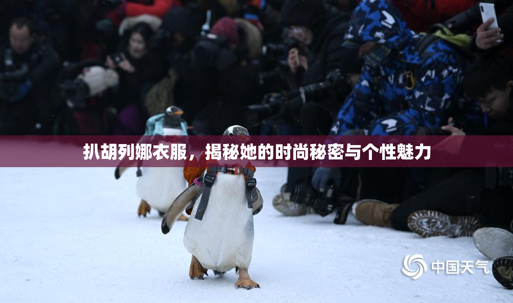 扒胡列娜衣服，揭秘她的时尚秘密与个性魅力