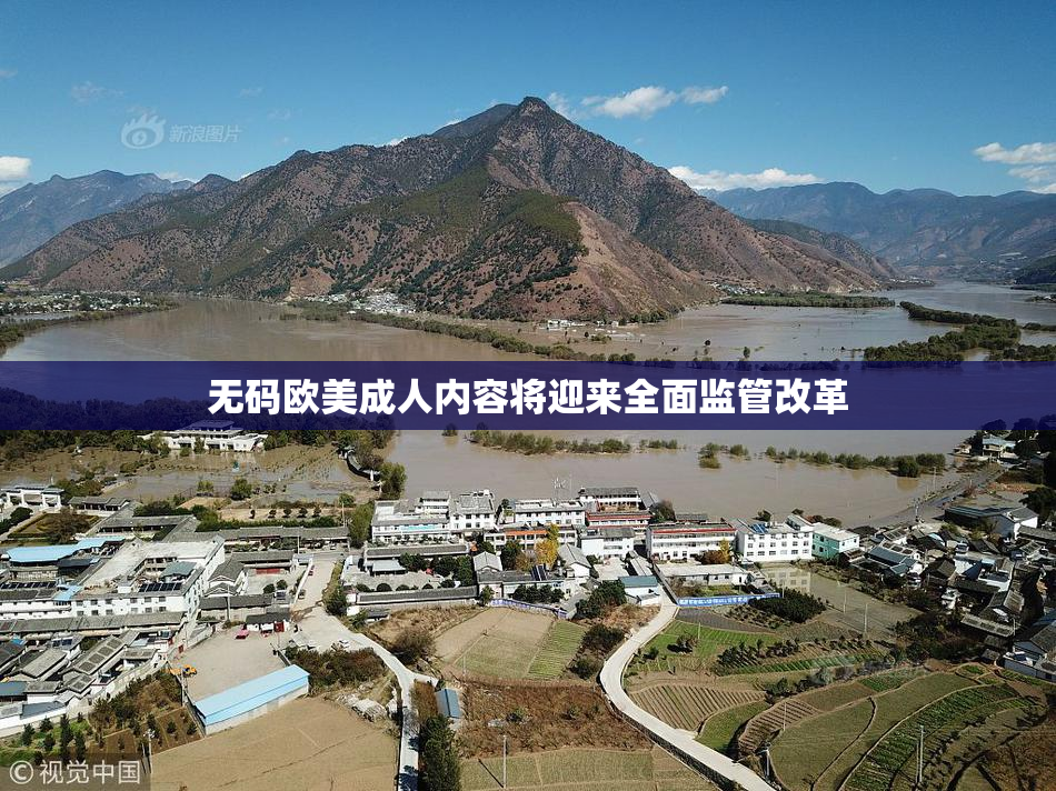 无码欧美成人内容将迎来全面监管改革