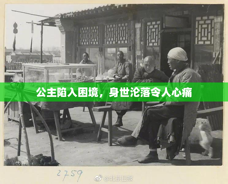 公主陷入困境，身世沦落令人心痛