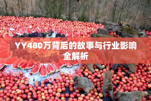 YY480万背后的故事与行业影响全解析