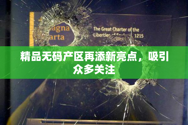 精品无码产区再添新亮点，吸引众多关注