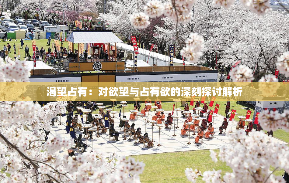 渴望占有：对欲望与占有欲的深刻探讨解析
