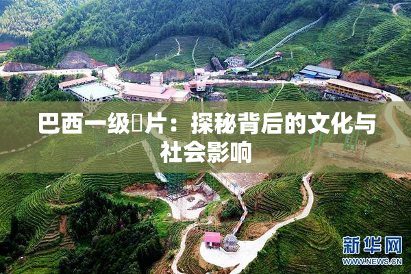 巴西一级婬片：探秘背后的文化与社会影响