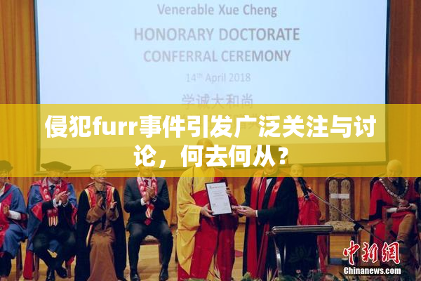 侵犯furr事件引发广泛关注与讨论，何去何从？