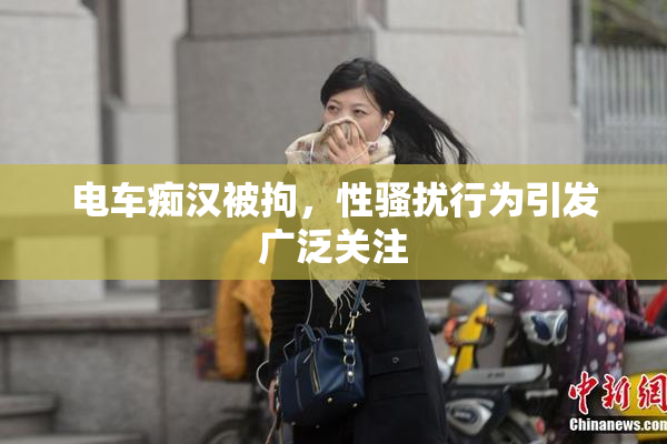 电车痴汉被拘，性骚扰行为引发广泛关注