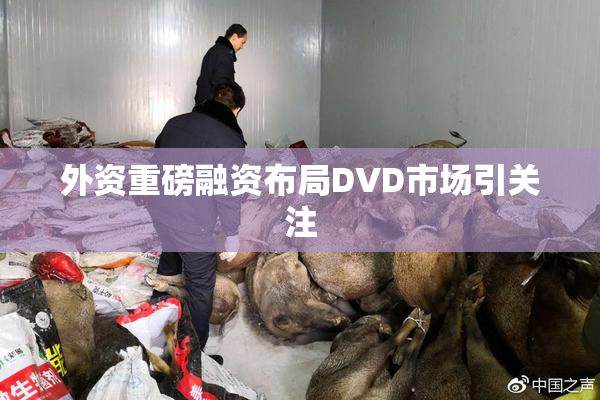 外资重磅融资布局DVD市场引关注