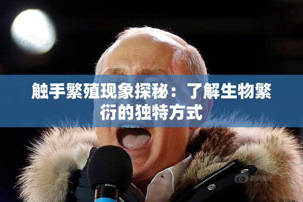 触手繁殖现象探秘：了解生物繁衍的独特方式