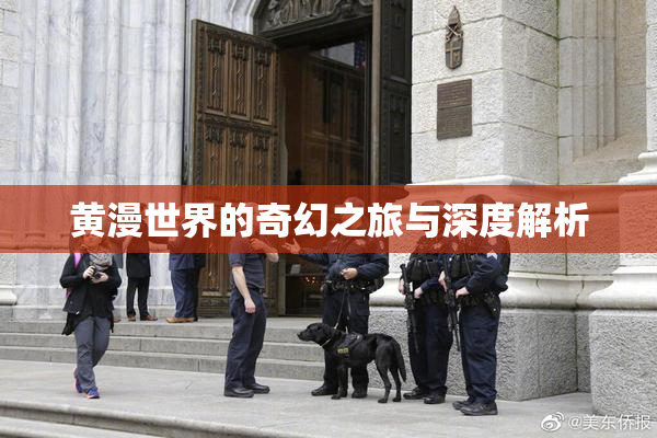 黄漫世界的奇幻之旅与深度解析