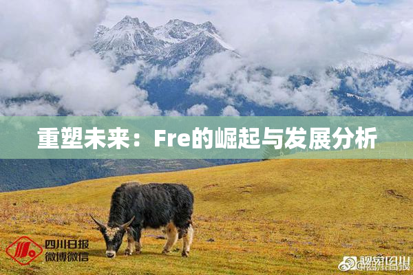重塑未来：Fre的崛起与发展分析