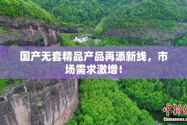 国产无套精品产品再添新线，市场需求激增！