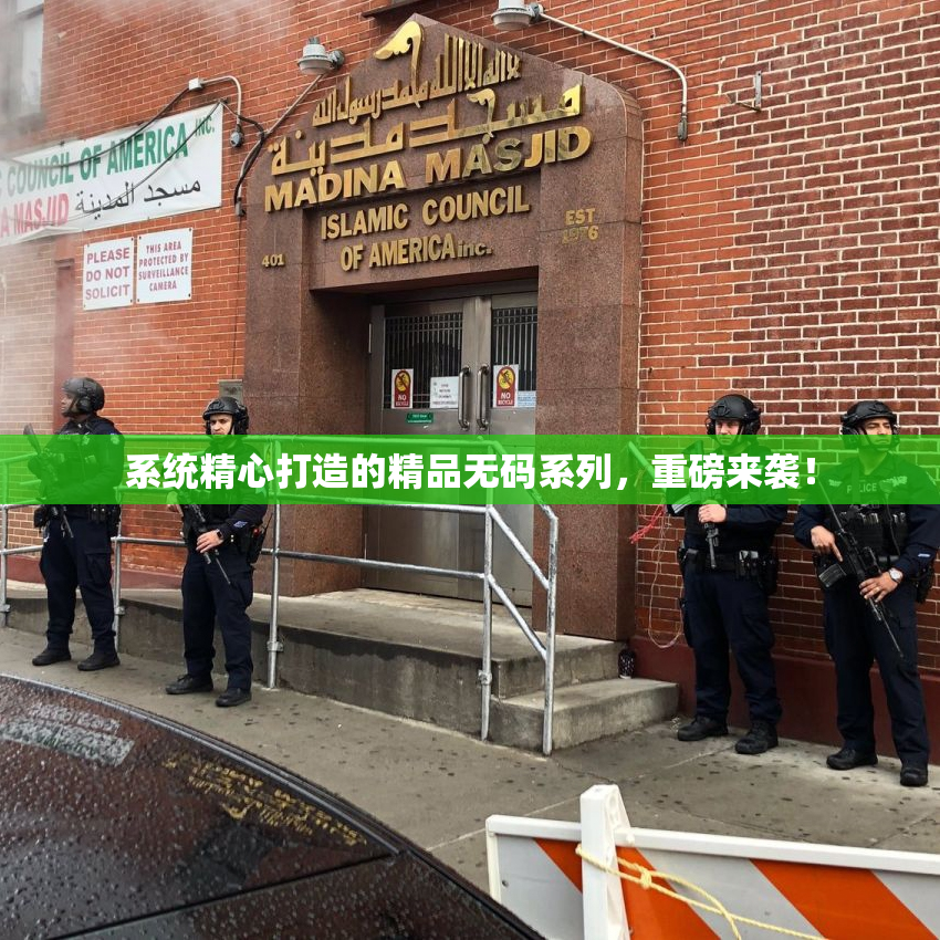系统精心打造的精品无码系列，重磅来袭！