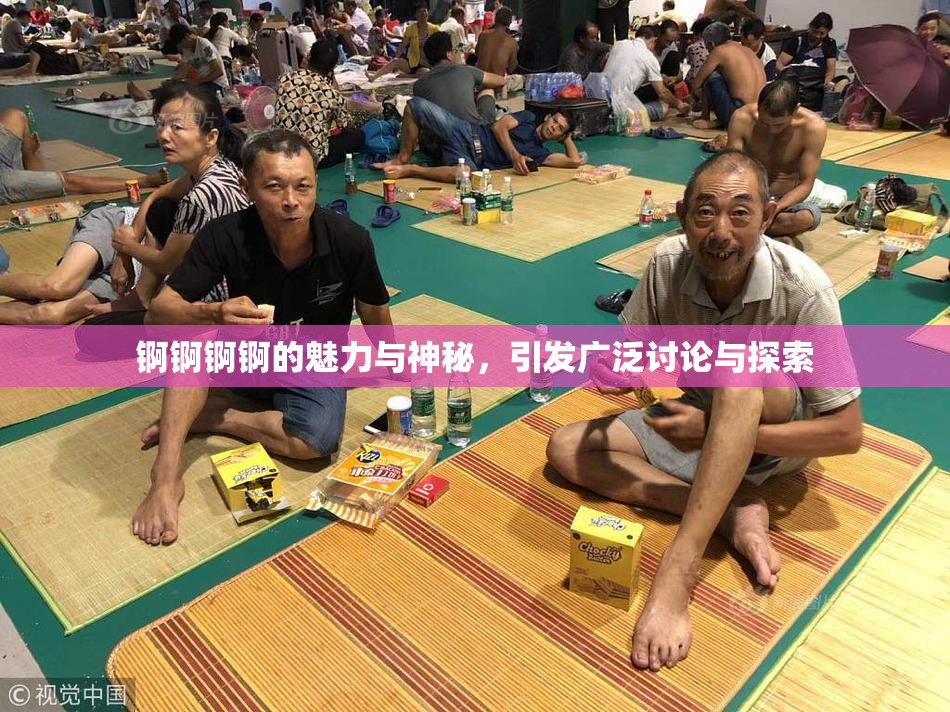 锕锕锕锕的魅力与神秘，引发广泛讨论与探索