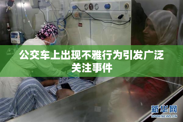 公交车上出现不雅行为引发广泛关注事件