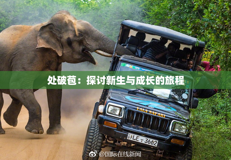处破苞：探讨新生与成长的旅程