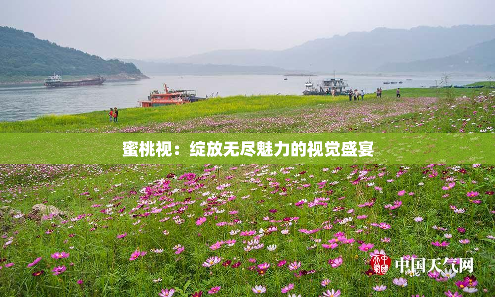 蜜桃视：绽放无尽魅力的视觉盛宴