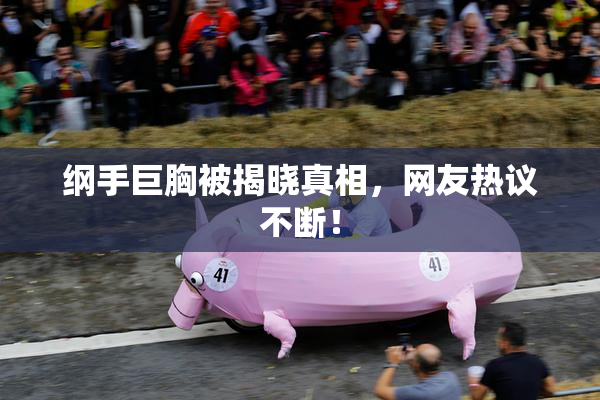 纲手巨胸被揭晓真相，网友热议不断！
