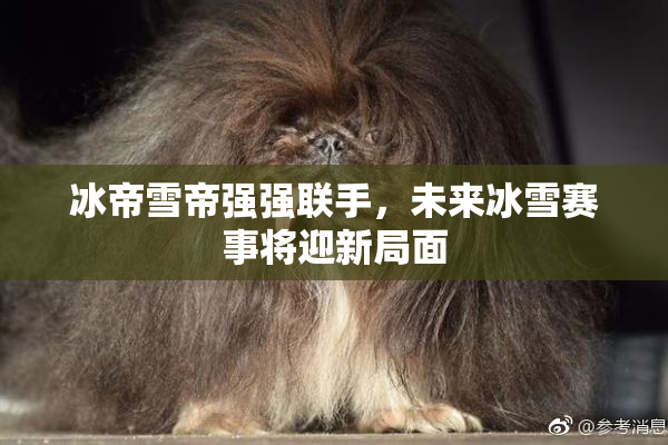 冰帝雪帝强强联手，未来冰雪赛事将迎新局面