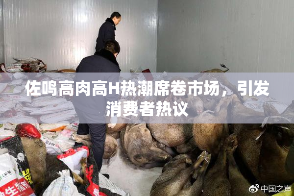 佐鸣高肉高H热潮席卷市场，引发消费者热议