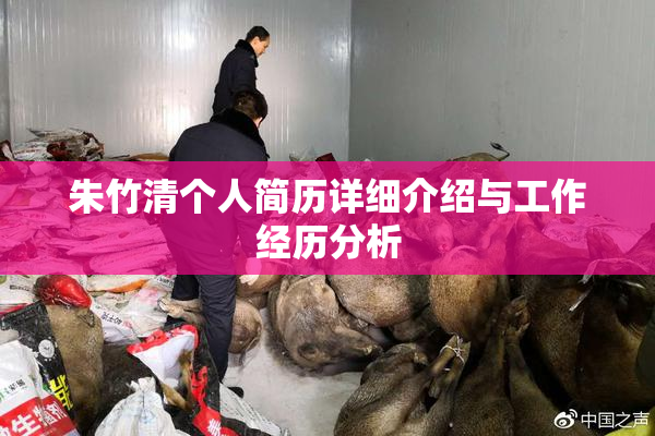 朱竹清个人简历详细介绍与工作经历分析