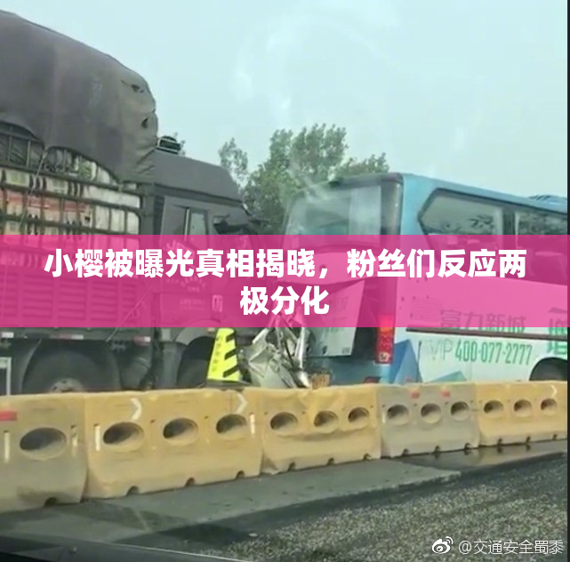 小樱被曝光真相揭晓，粉丝们反应两极分化