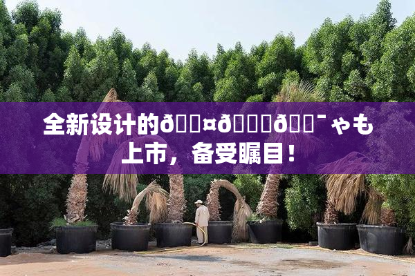全新设计的🖤🌃🔯ゃも上市，备受瞩目！