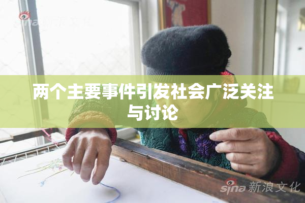 两个主要事件引发社会广泛关注与讨论