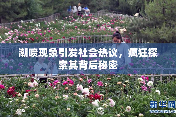 潮喷现象引发社会热议，疯狂探索其背后秘密
